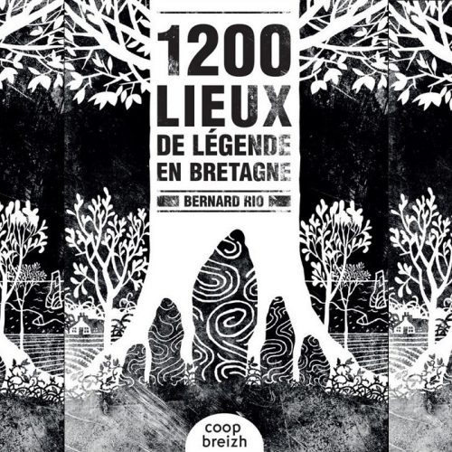 Dimanche 16 février – Conférence « Les lieux de légende en Bretagne », Bernard Rio